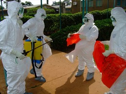 Chuyên gia WHO: Nguy cơ dịch Ebola vào Việt Nam rất thấp